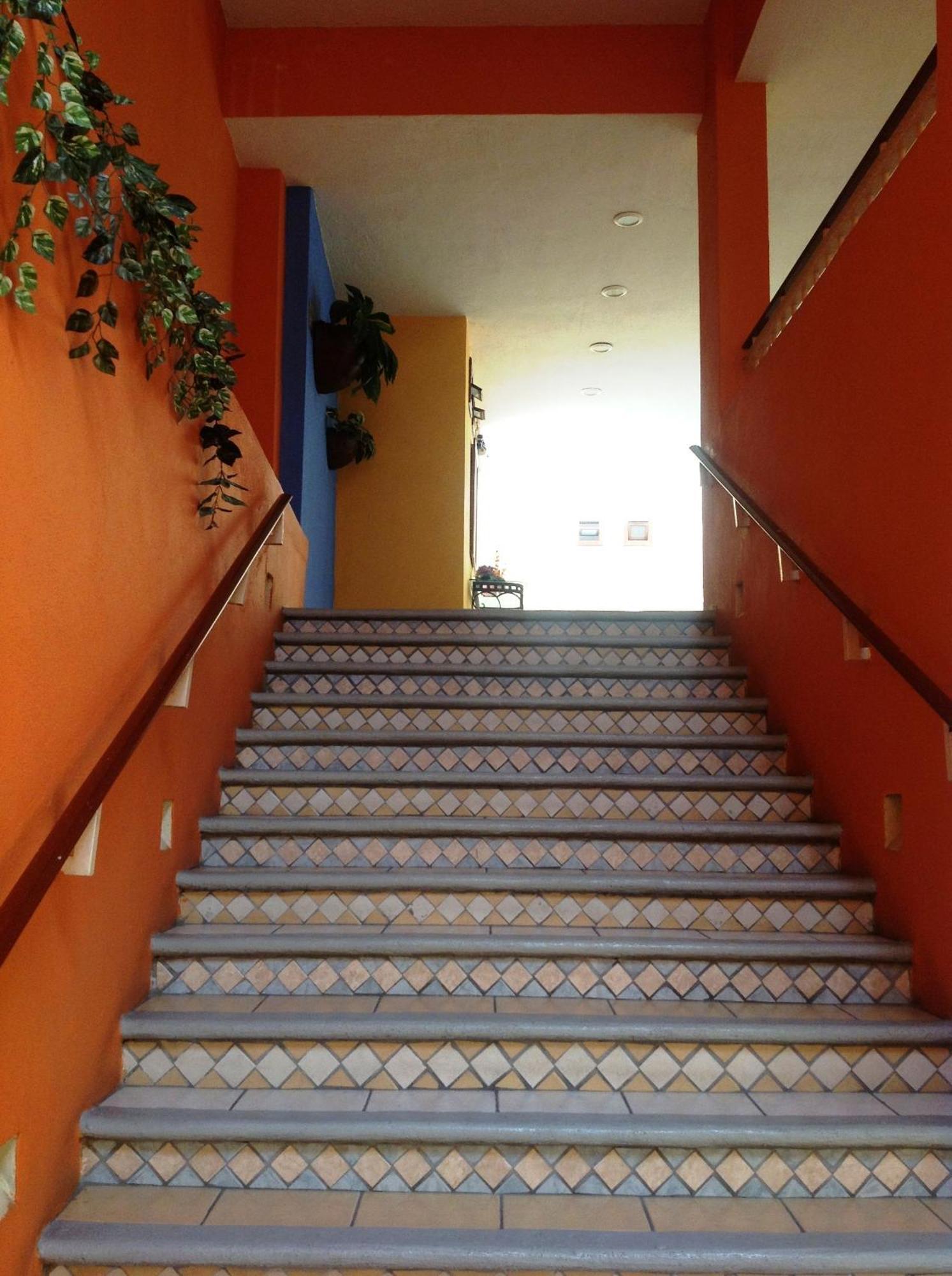 Plaza Jardin Hotel Tequila Luaran gambar
