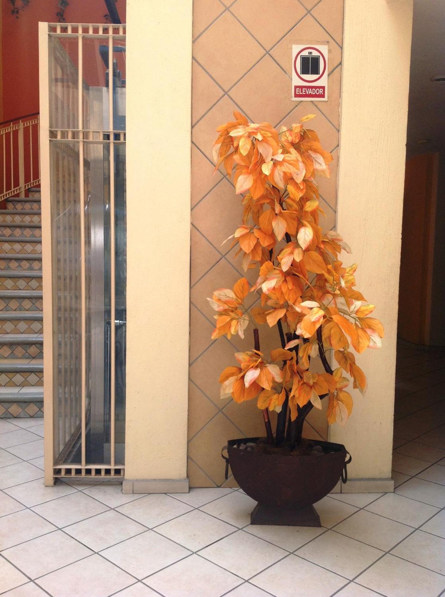 Plaza Jardin Hotel Tequila Luaran gambar