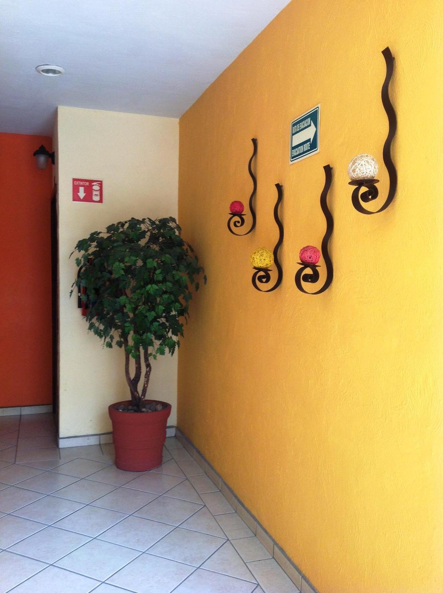 Plaza Jardin Hotel Tequila Luaran gambar